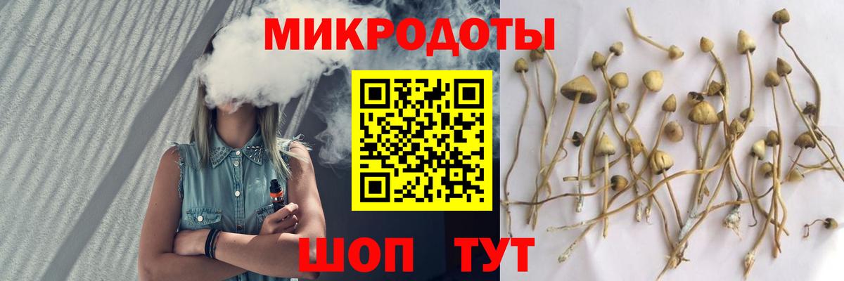 Галлюциногенные грибы MAGIC MUSHROOMS  Галлюциногенные грибы мицелий  Вход с VPN  Павловский Посад 